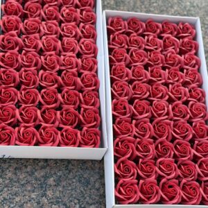 Бордова стандартна мильна троянда (Корея)