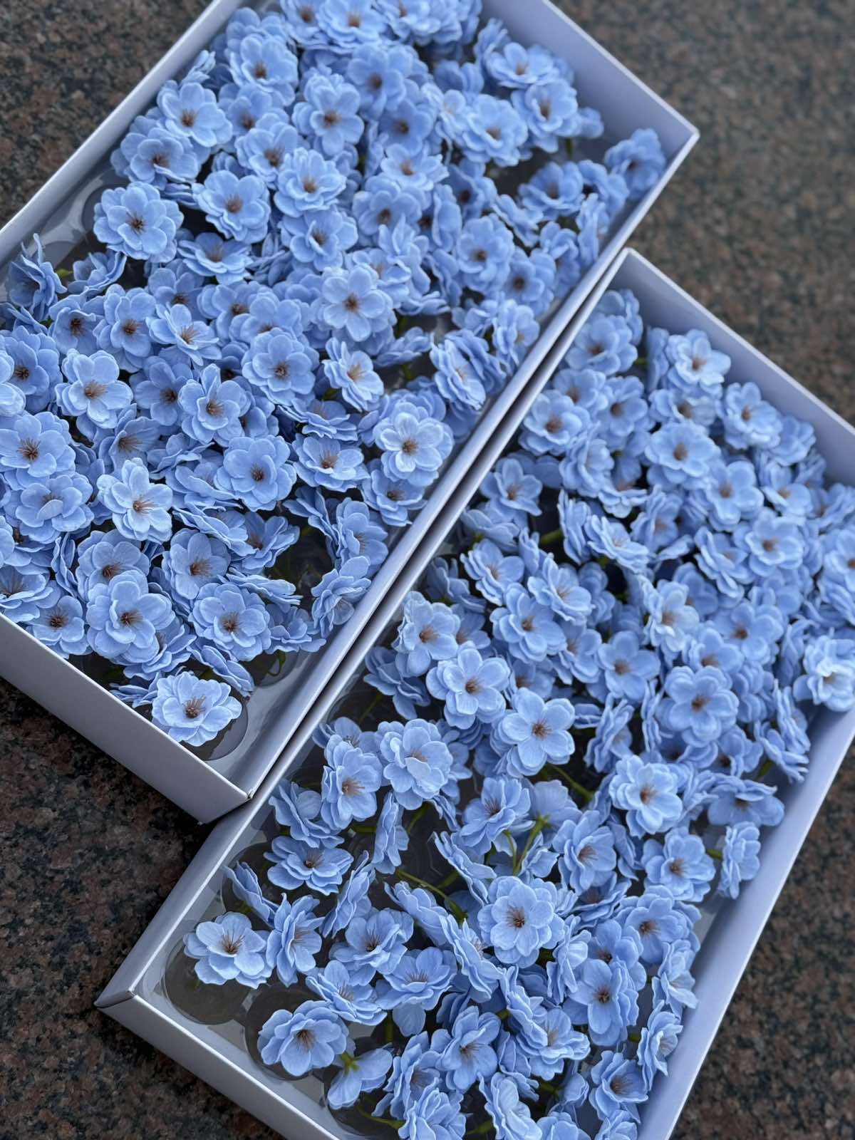 Блакитна мильна сакура Люкс
