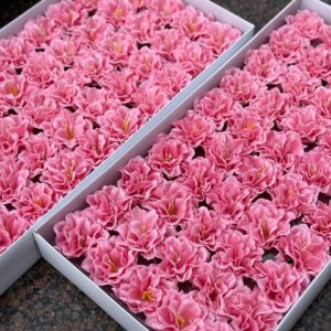 Рожева мильна камелія Люкс